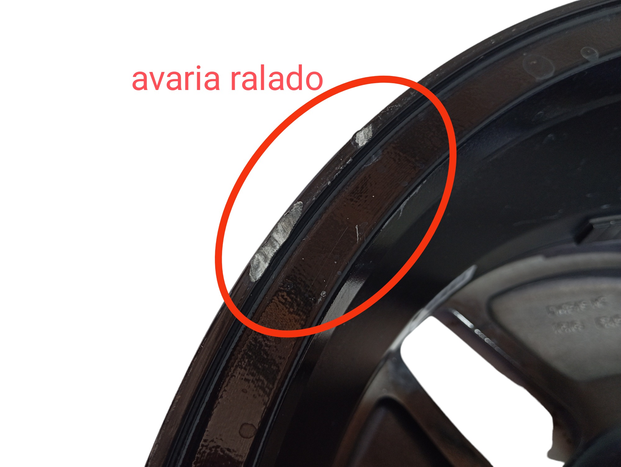 Roda Aro 16 Byd Dolphin Gs 2024 2025 V594 4