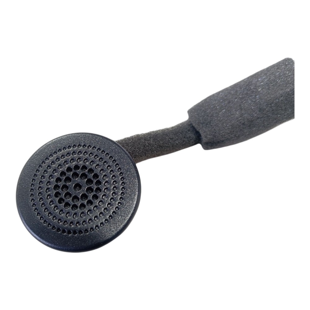 Tweeter Byd Dolphin Ev Gs 2024 V628 5