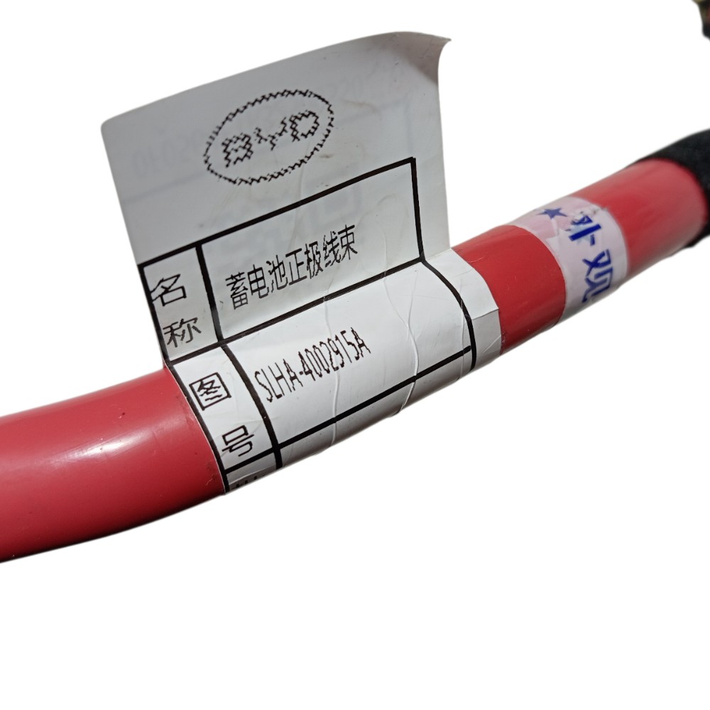 Chicote positivo inversor bateria Byd Song Pro 2025 V669 5