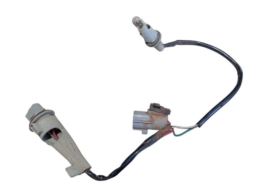 Chicote Lanterna Traseira Land Cruiser Prado 2005 V620 6