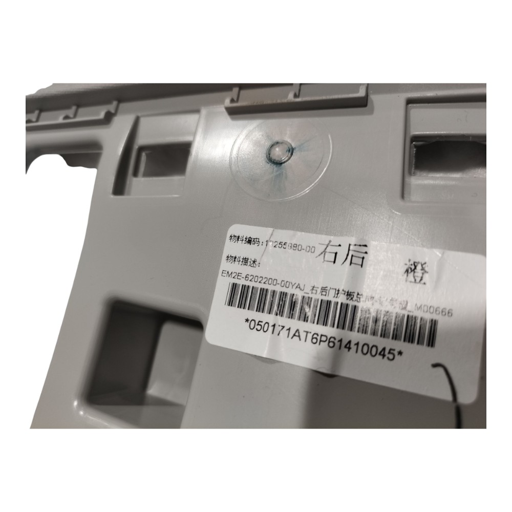 Forro Porta Traseira Direita Byd Dolphin Gs 2024 2025 V666 6