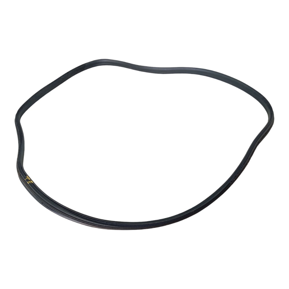 Borracha Porta Tras Esquerda Renault Zoe 2022 2023 V639 3