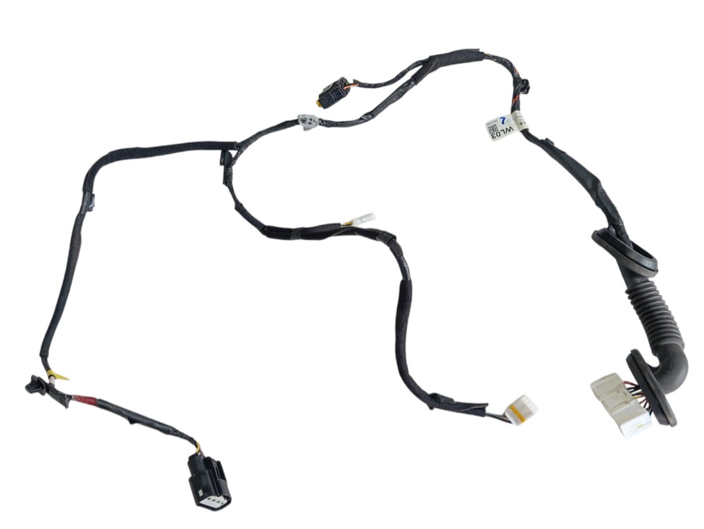 Chicote Porta Traseira Esquerda Hyundai Creta 2023 V609 5