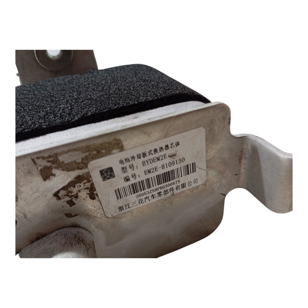 Resfriador Água Motor Byd Dolphin Gs 2024 2025 V666 6