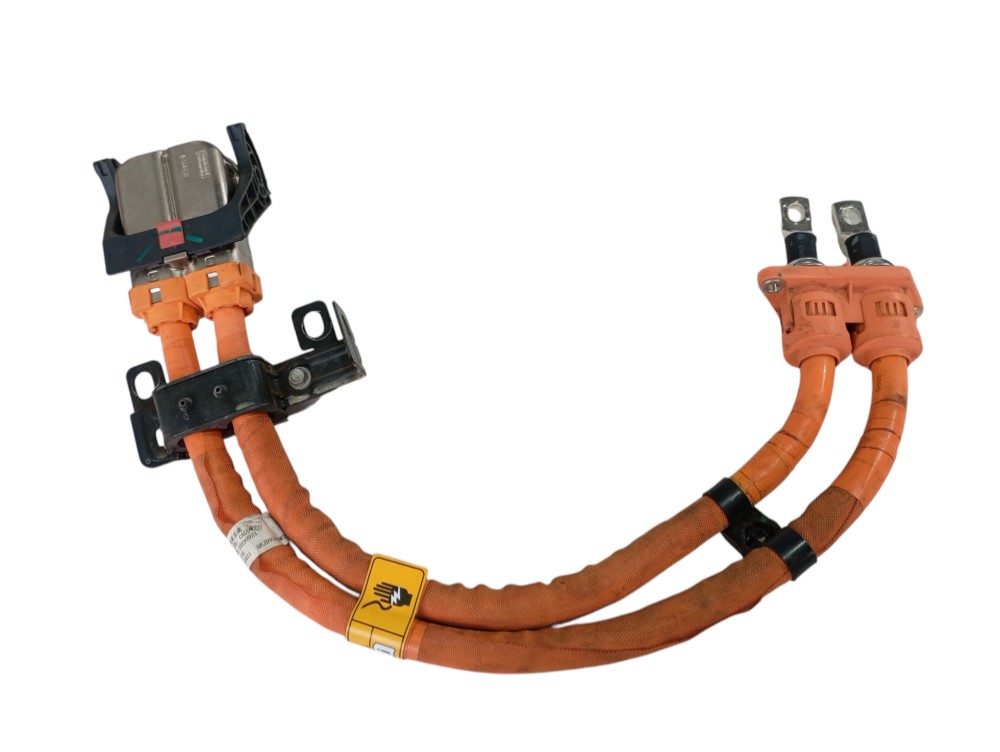 Chicote Motor Gwm Ora Gt 2023 2024 V625 1