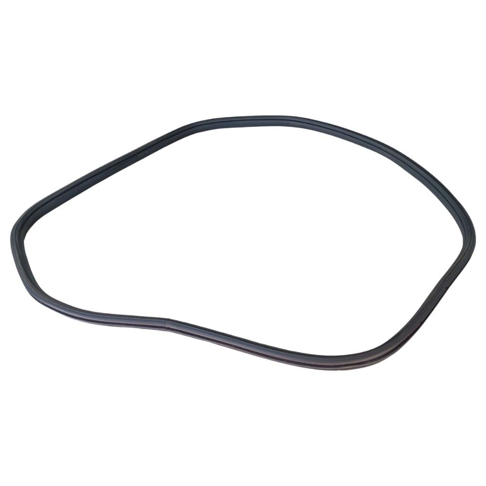 Borracha Porta Traseira Esquerda Byd Dolphin Gs 2024 25 V653