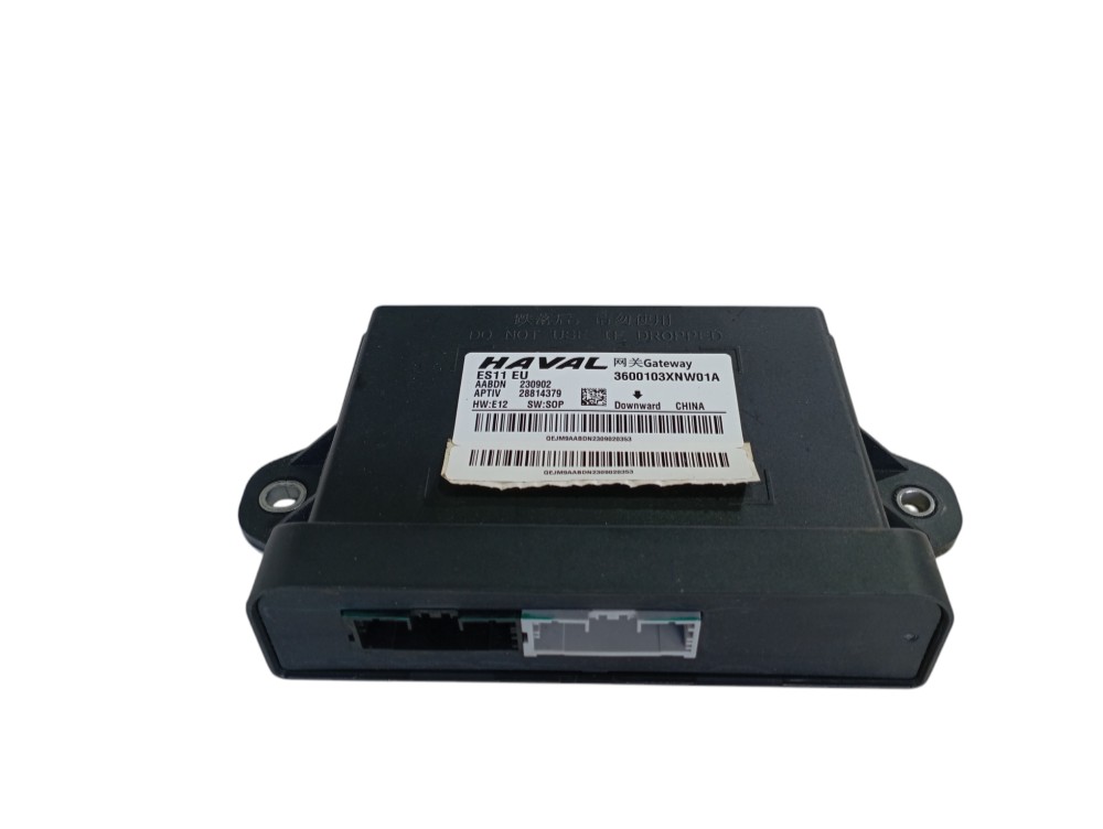 Módulo Direção Gateway Gwm Ora Gt 03 2023 2024 V625 1