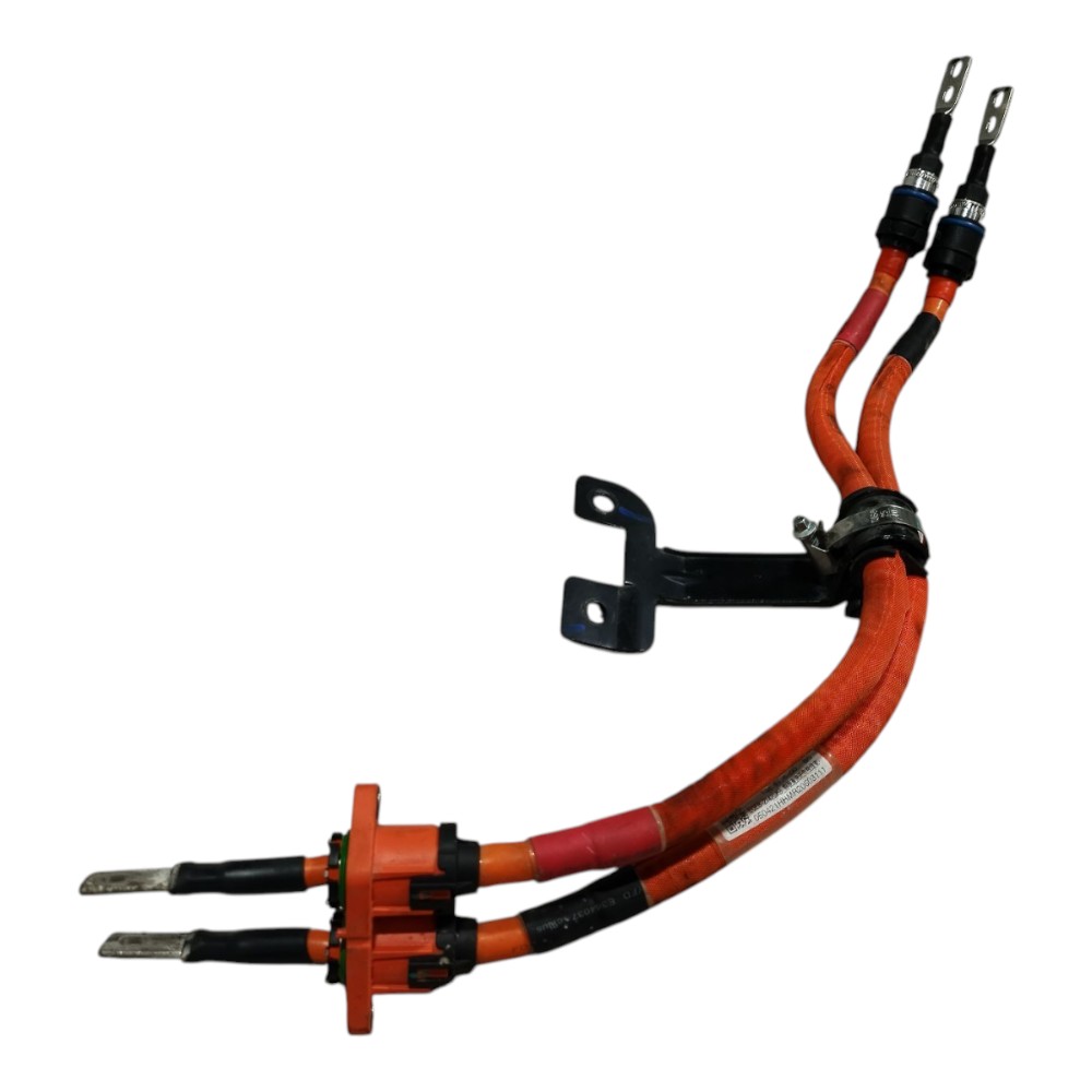 Chicote Cabo Bateria Byd Dolphin Mini 2024 2025 V665 10