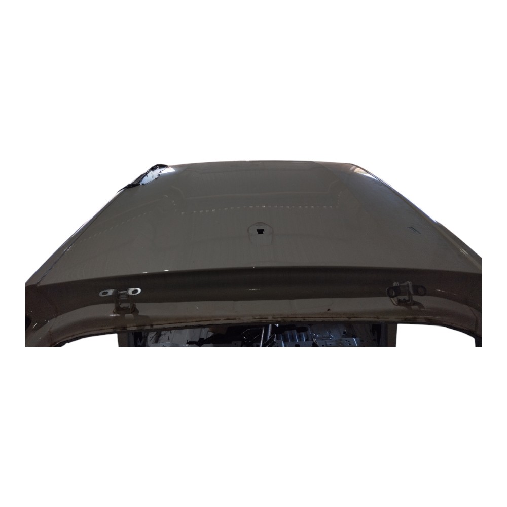 Traseira Com Teto Byd Dolphin Ev Gs 2024 V628 5