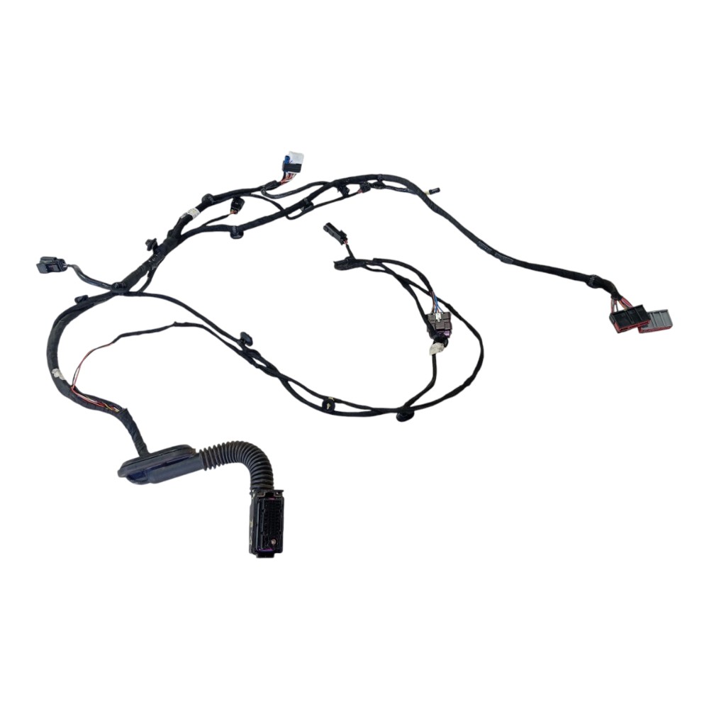 Chicote porta dianteira esquerda Gwm Haval GT 2024 V636 2