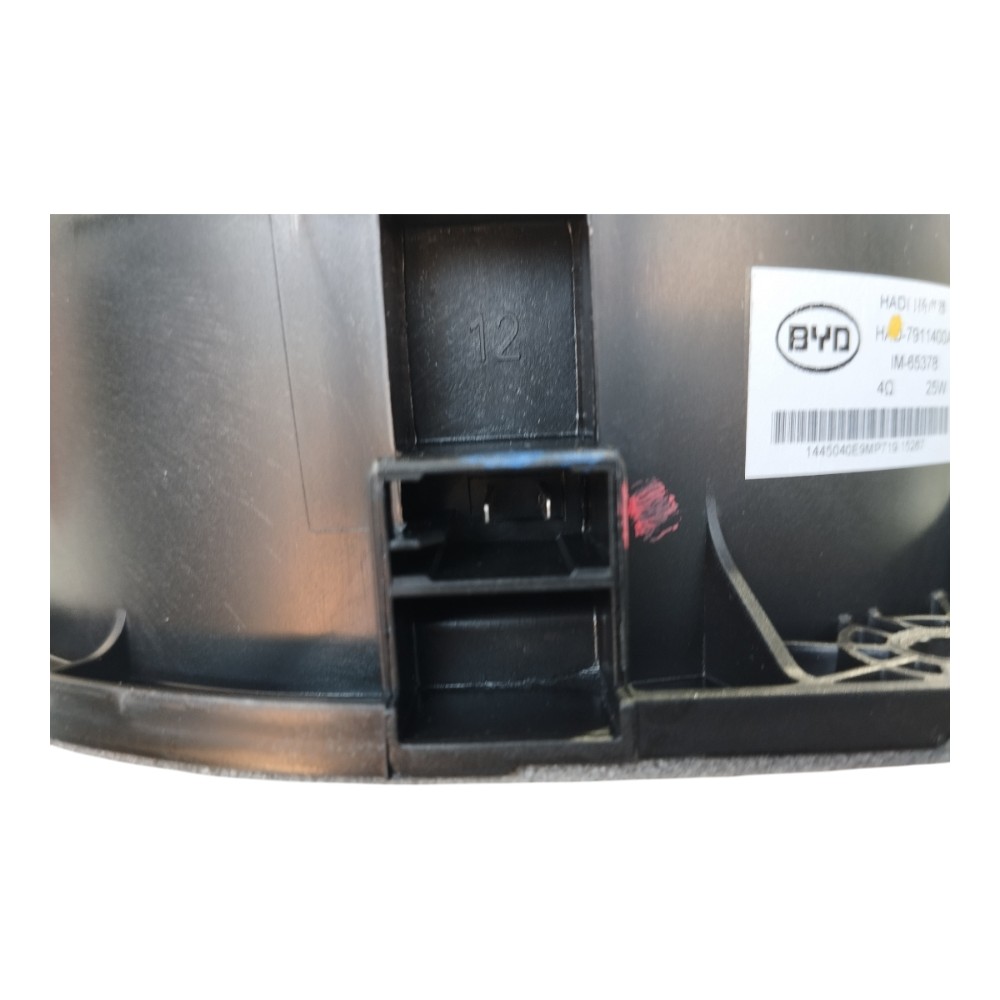 Alto Falante Porta Diant Direita Byd Dolphin Gs 2024 25 V628 5