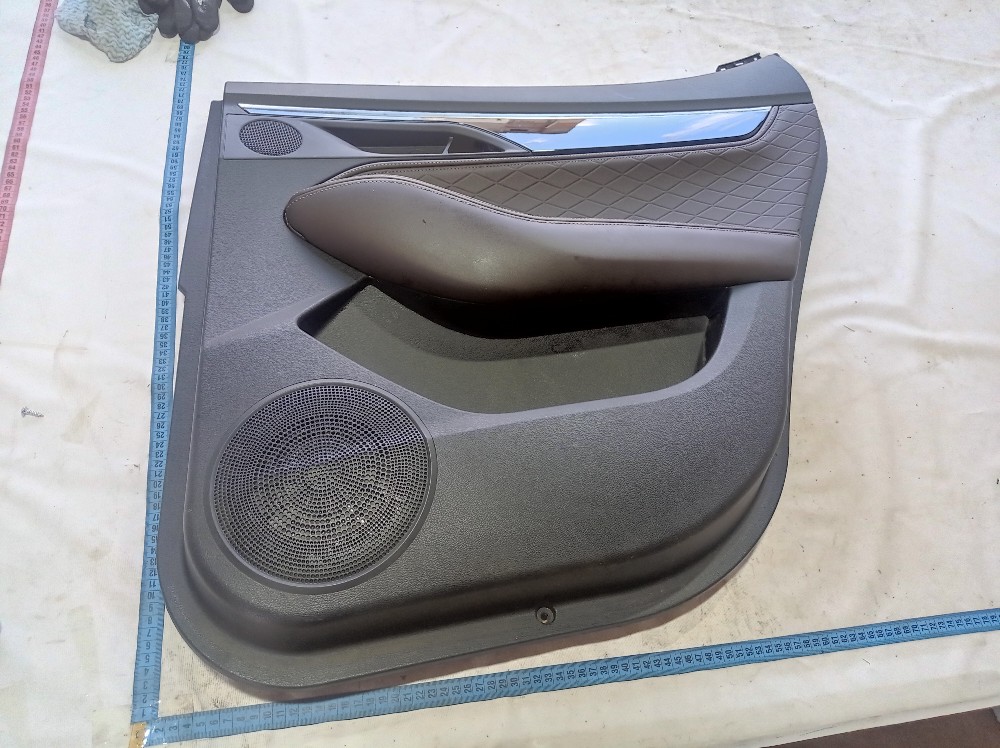 Forro Porta Traseira Direita Jac Ej7 2023 V618 7