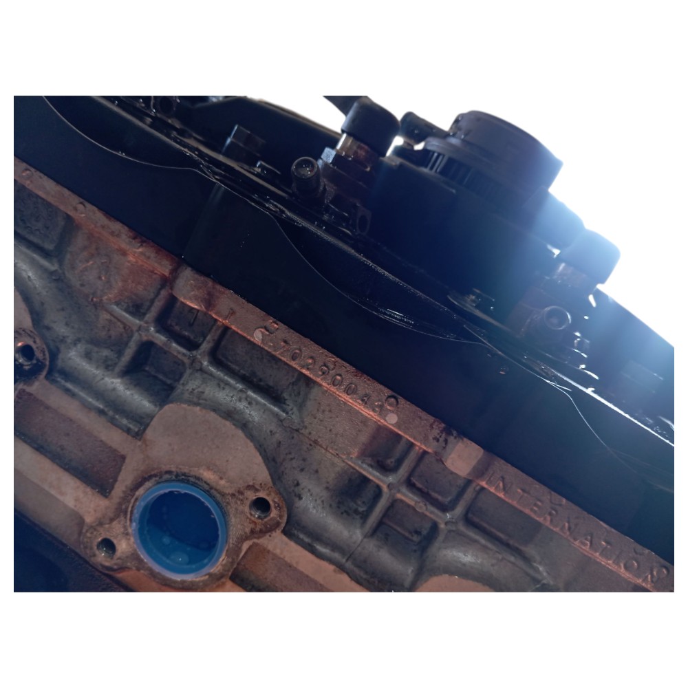 Motor Troller T4 Tdi 3.0 2011 V650 7