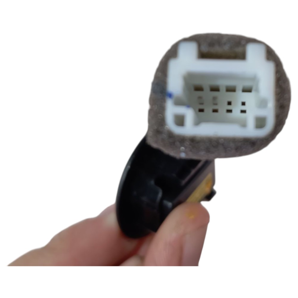 Tweeter Byd Dolphin 2024 V653