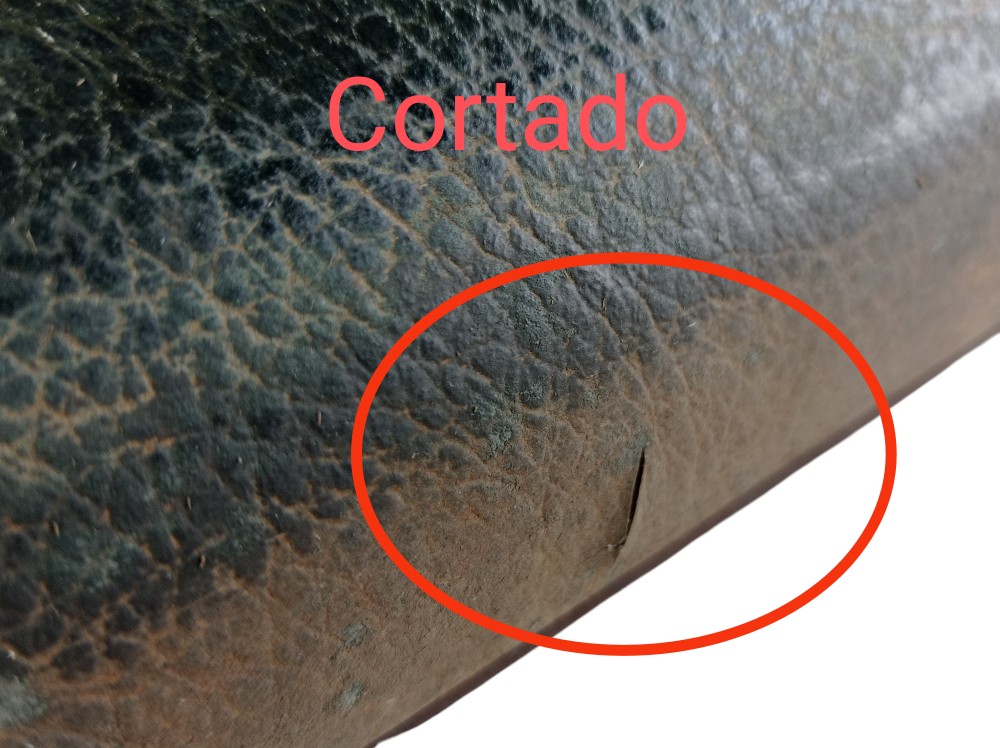 Forro Porta Traseiro Direito Toyota Prado 3.0 2005 V620 3