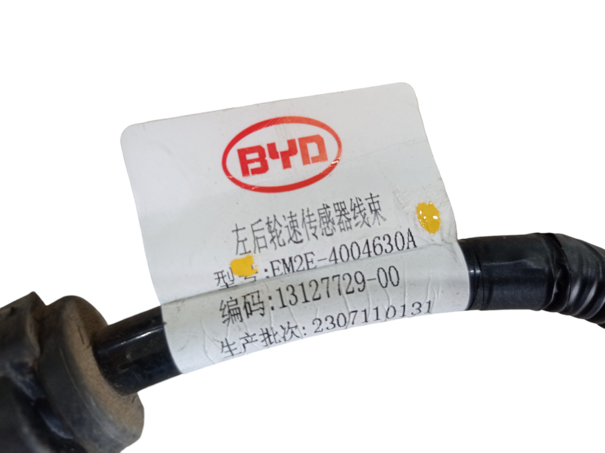 Chicote Interno Byd Dolphin Gs 180ev 2024 V596 10