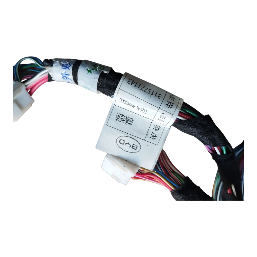 Chicote Traseiro Interno Byd Dolphin Mini 2024 2025 V634 3