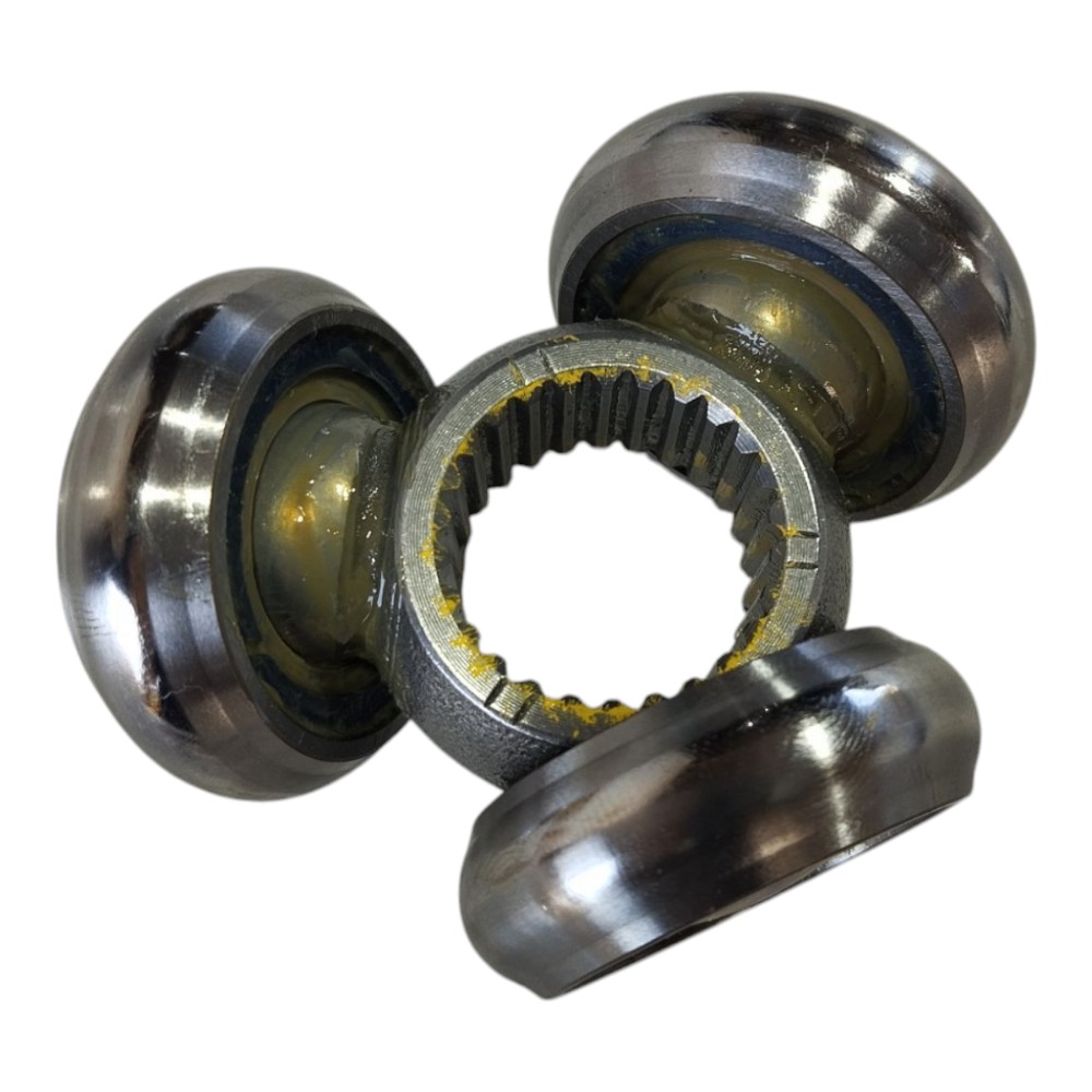 ち Tulipa C/ Trizeta Esquerda Byd Dolphin Mini 2024 V634 – Desmache