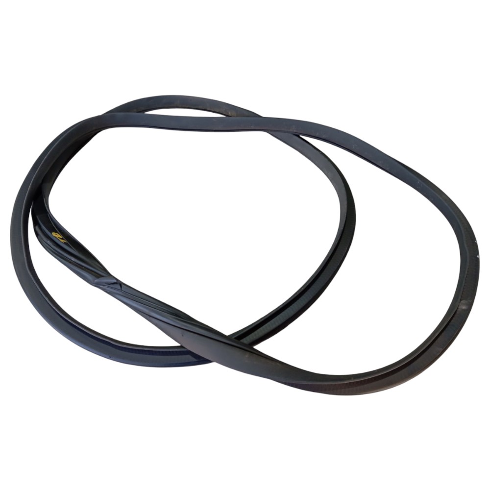 Borracha Porta Traseira Direita Byd Dolphin Gs 2024 25 V653 3