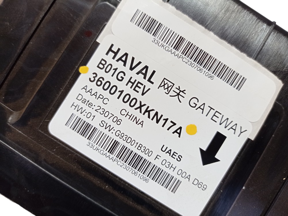 Modulo Gateway Gwm Haval H6 1.5 2024 V610 7