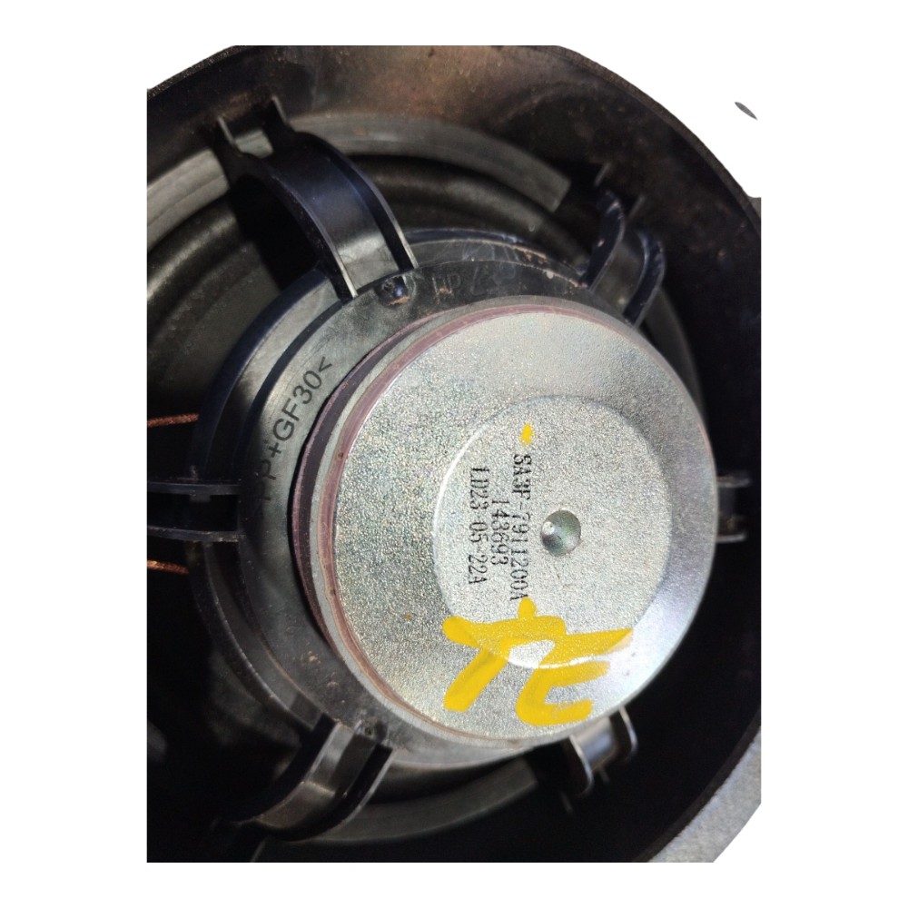 Alto Falante Traseiro Esquerdo Byd Song Plus 2023 2025 V631 9
