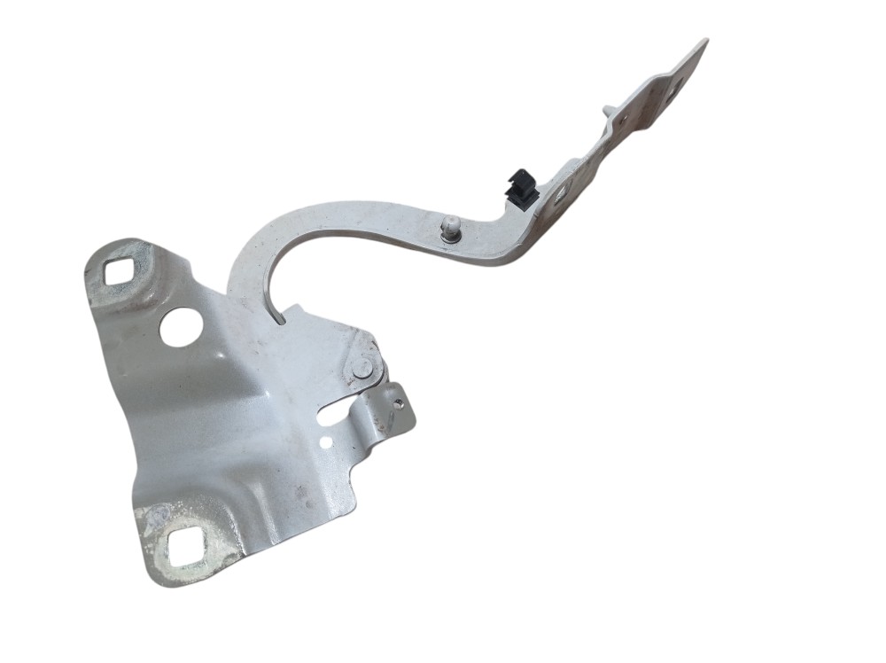 Dobradica Capo Direito Renault Zoe Neo Int 2023 V617 6