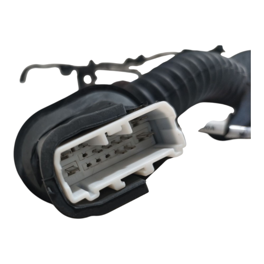 Chicote Porta Traseira Esquerd Byd Dolphin Gs 2024 2025 V666 7