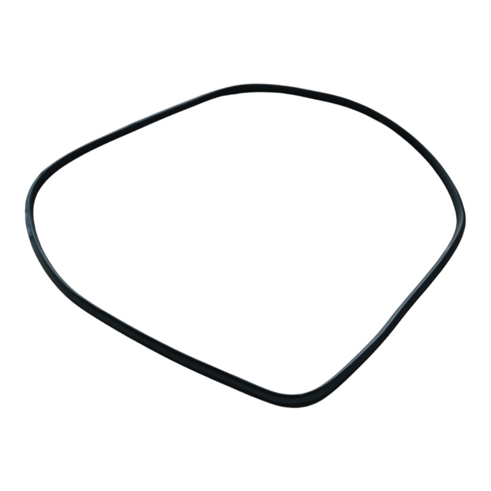 Borracha Porta Dianteira Direita Byd Dolphin Gs 2024 25 V666 4