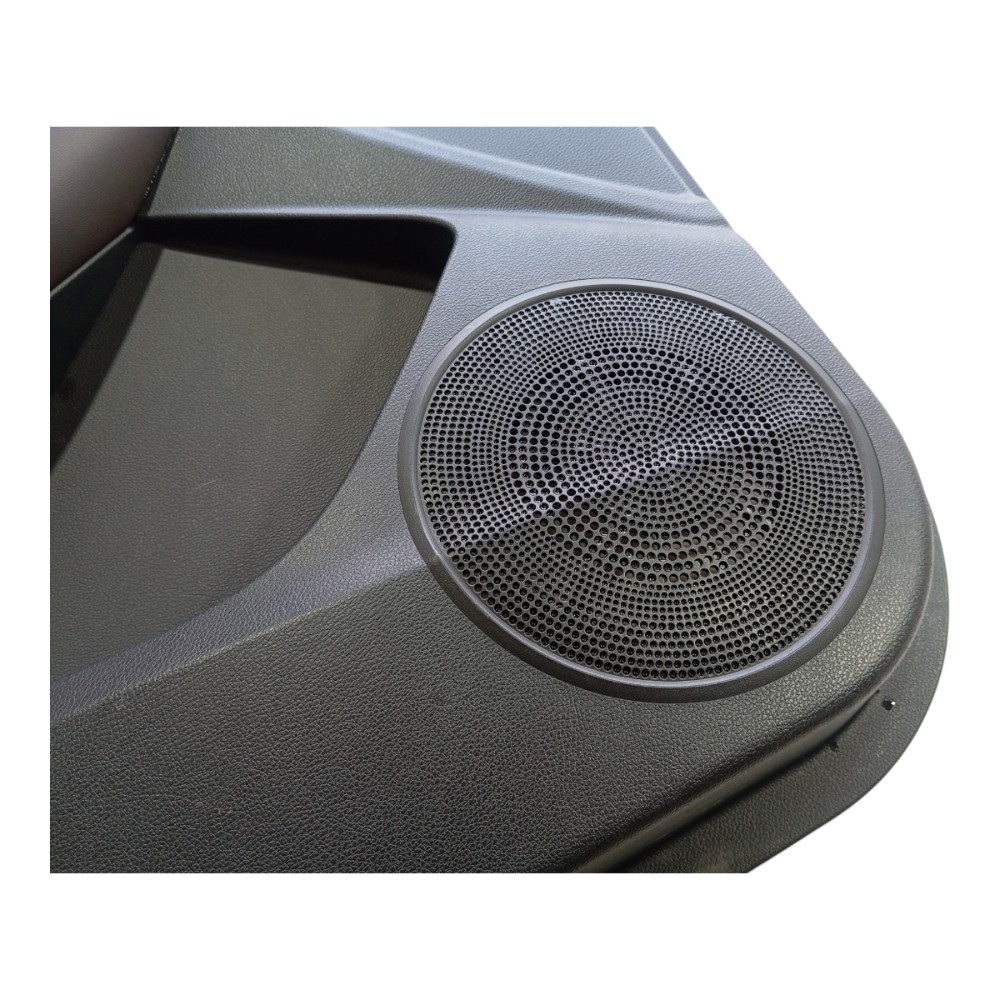 Forro Porta Dianteira Esquerda Jac Ej7 2023 V618 4