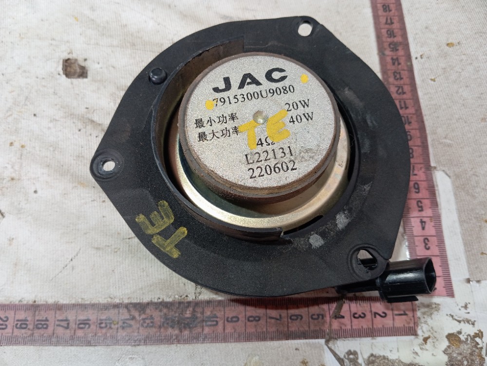 Alto Falante Porta Traseira Esquerda Jac Ejs1 2022 2023 V651 7