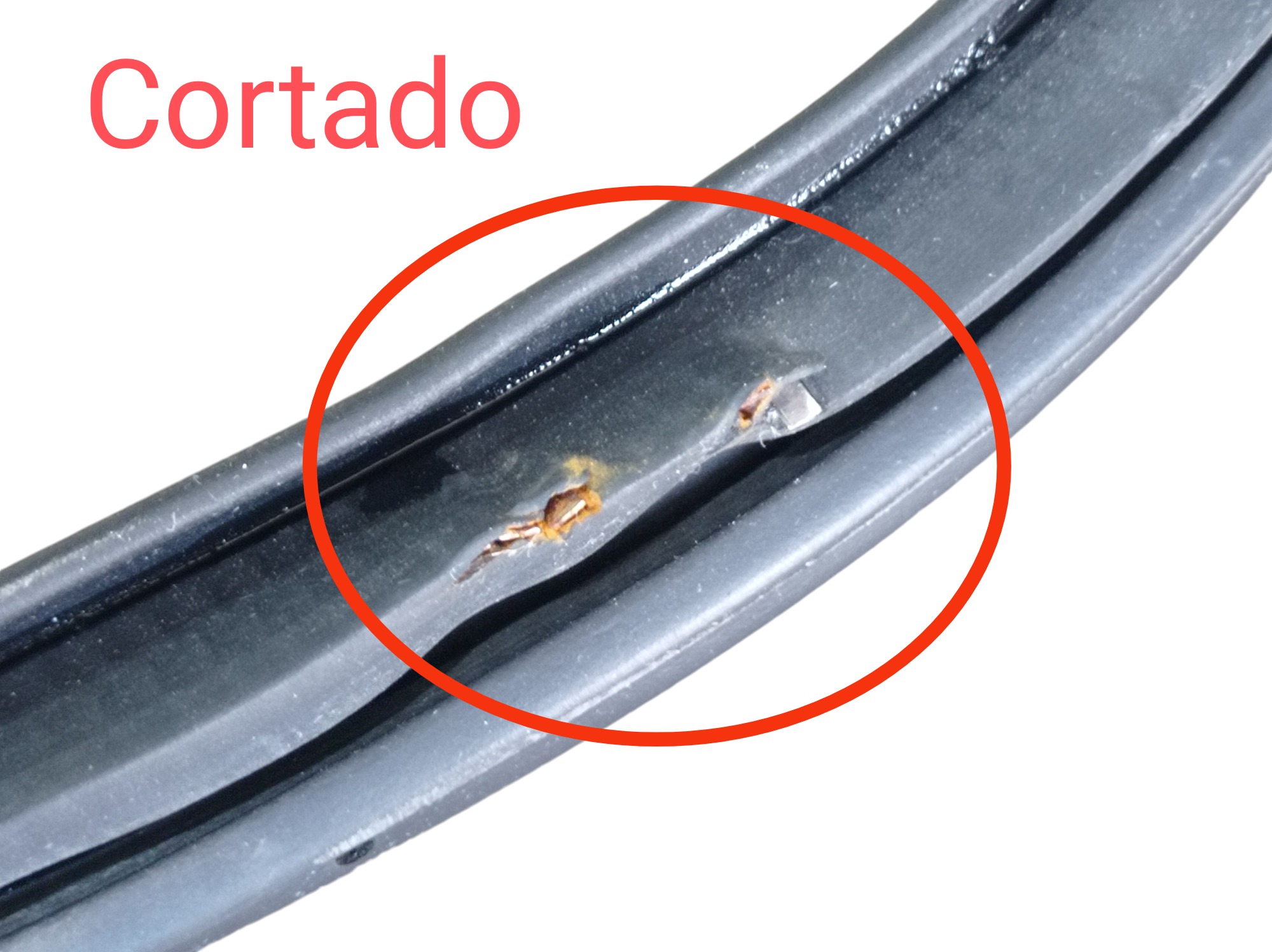 Borracha Porta Dianteira Direita Byd Dolphin Gs 2024 25 V596 3