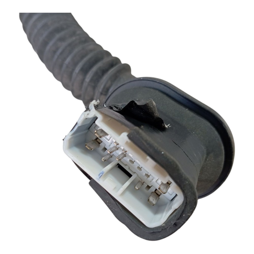 Chicote Porta Traseira Esque Byd Dolphin Mini 2024 2025 V634 4