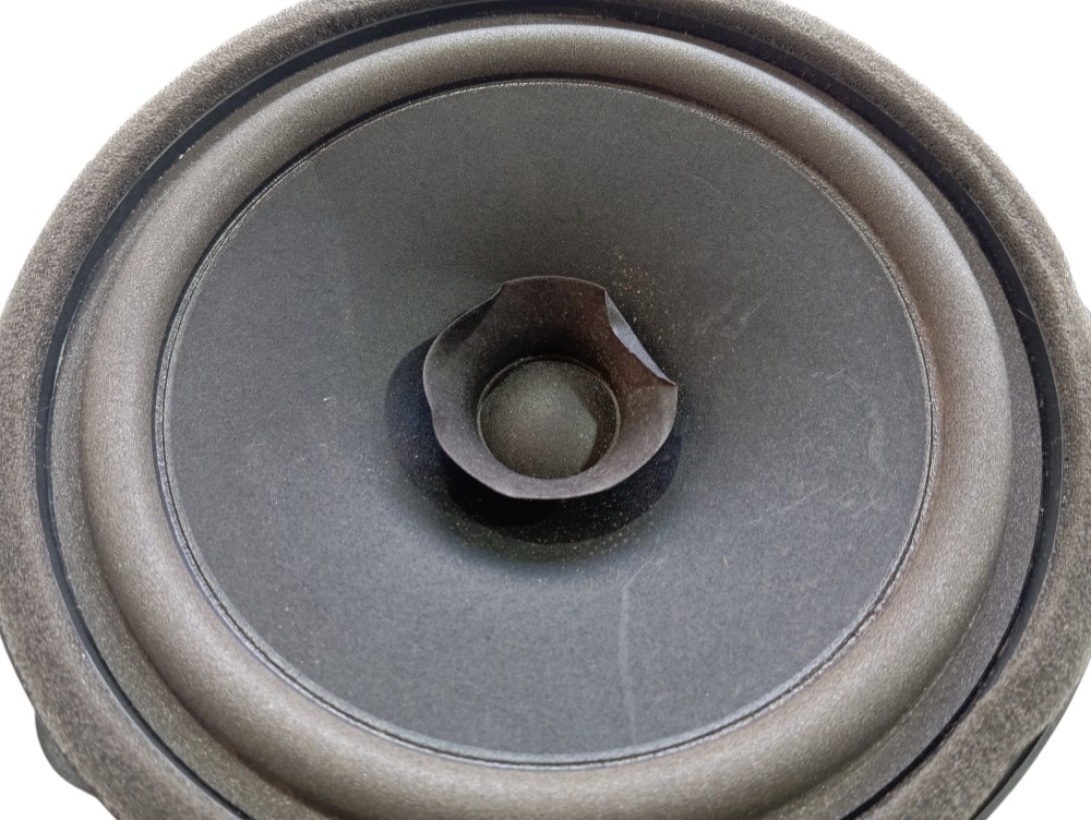 Alto Falante Porta Traseira Direita Gwm Ora Gt03 2024 V625 7