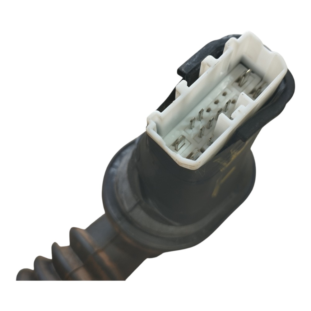 Chicote Porta Traseira Esquerd Byd Dolphin Gs 2024 2025 V653 2