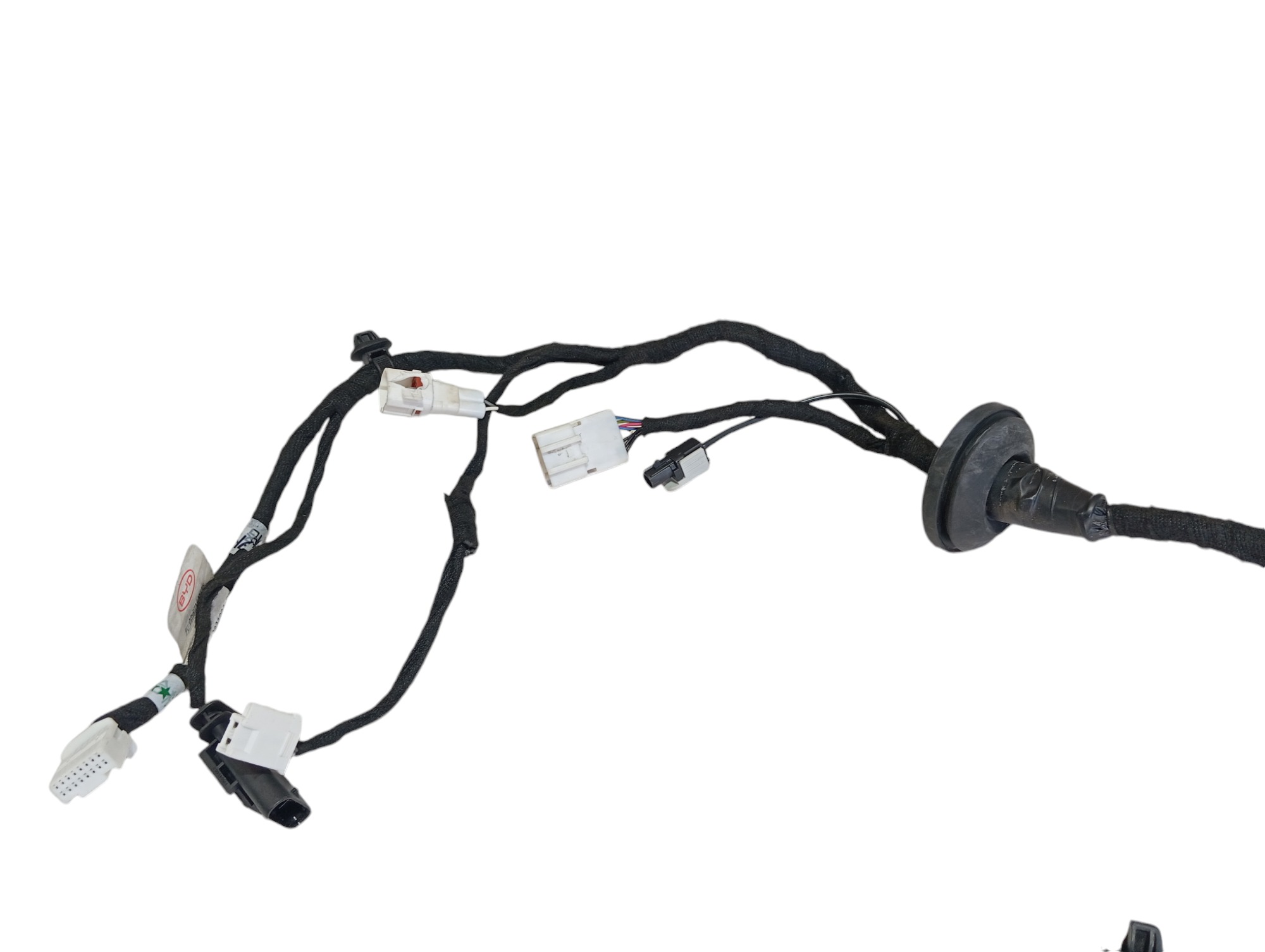 Chicote Porta Dianteira Esquerda Byd Dolphin Gs 2024 25 V596 2