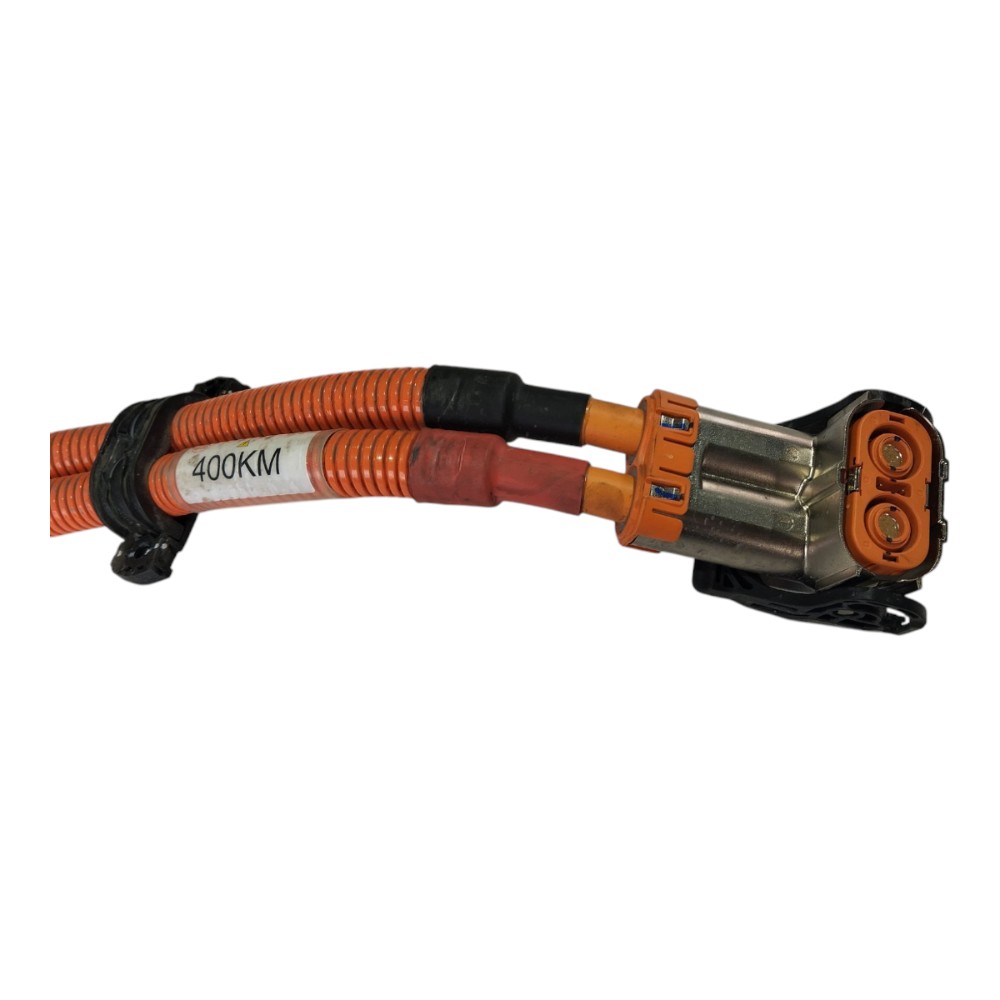 Cabo Chicote Bateria Byd Dolphin Mini 2024 2025 V634 3