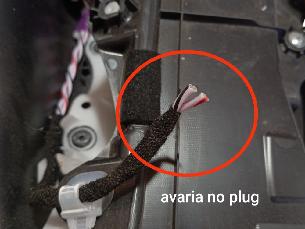 Forro Porta Traseira Direita Lexus Rx500hf 2023 V619 7