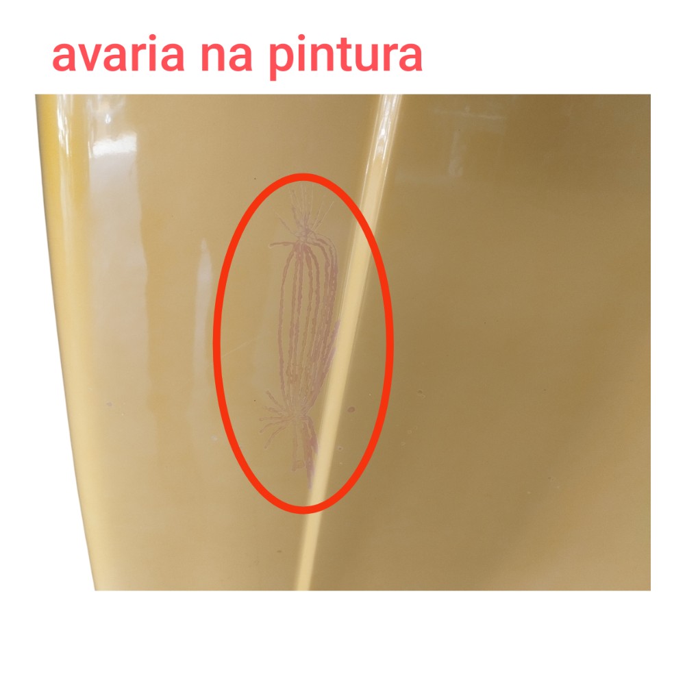 Capô Troller T4 2011 V650 4
