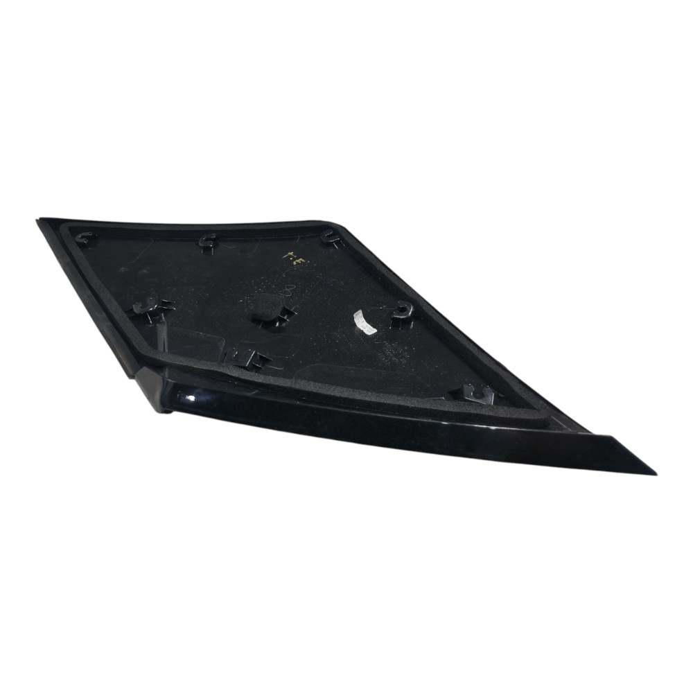 Moldura Externa Trasei Esquerda Byd Dolphin Gs 2024 25 V666 4
