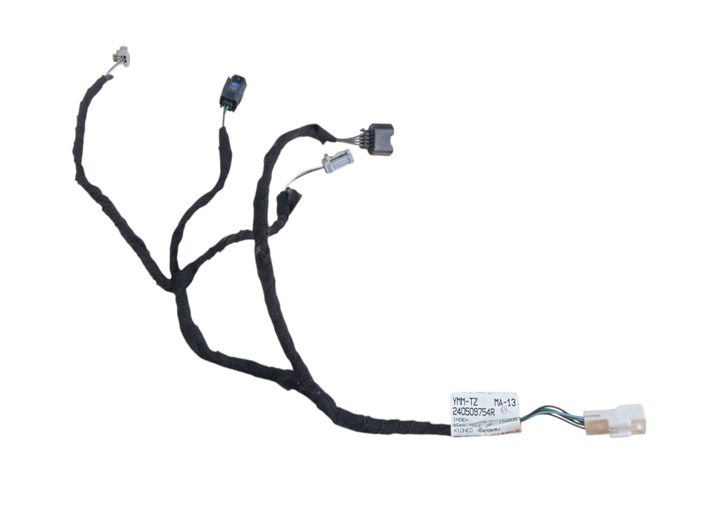 Chicote Camera Re Renault Zoe Neo Int 2023 V617 2