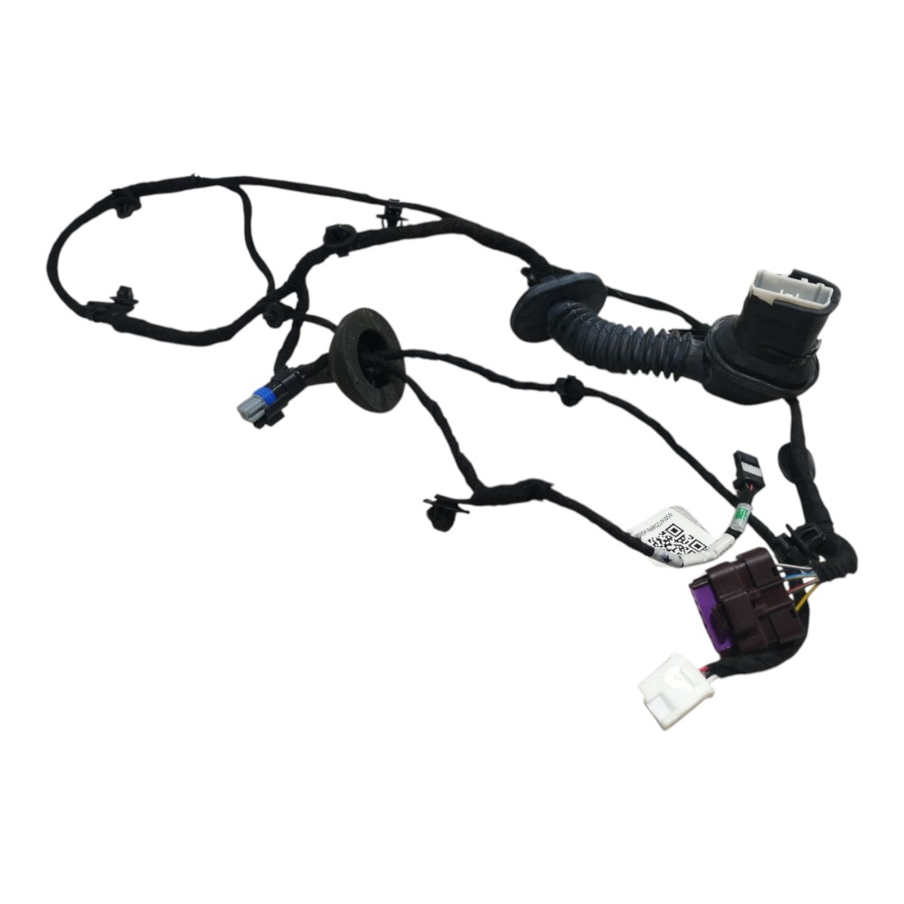 Chicote Porta Traseira Esquerd Byd Dolphin Gs 2024 2025 V666 1