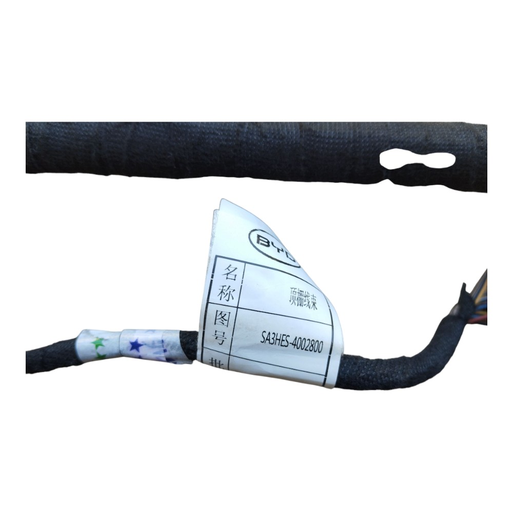 Chicote Teto Byd Song Plus 2024 V631 Sa3hes-4002800 10