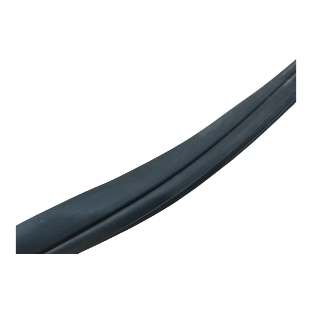Borracha Porta Traseira Esquerda Byd Dolphin Gs 2024 25 V666 5