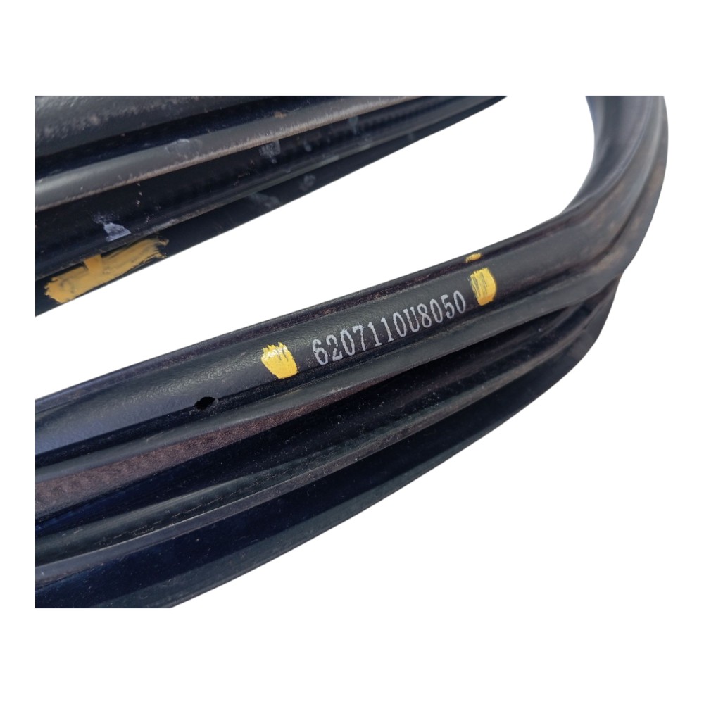 Borracha Porta Traseira Esquerda Jac Ejs1 2022 2024 V616 9