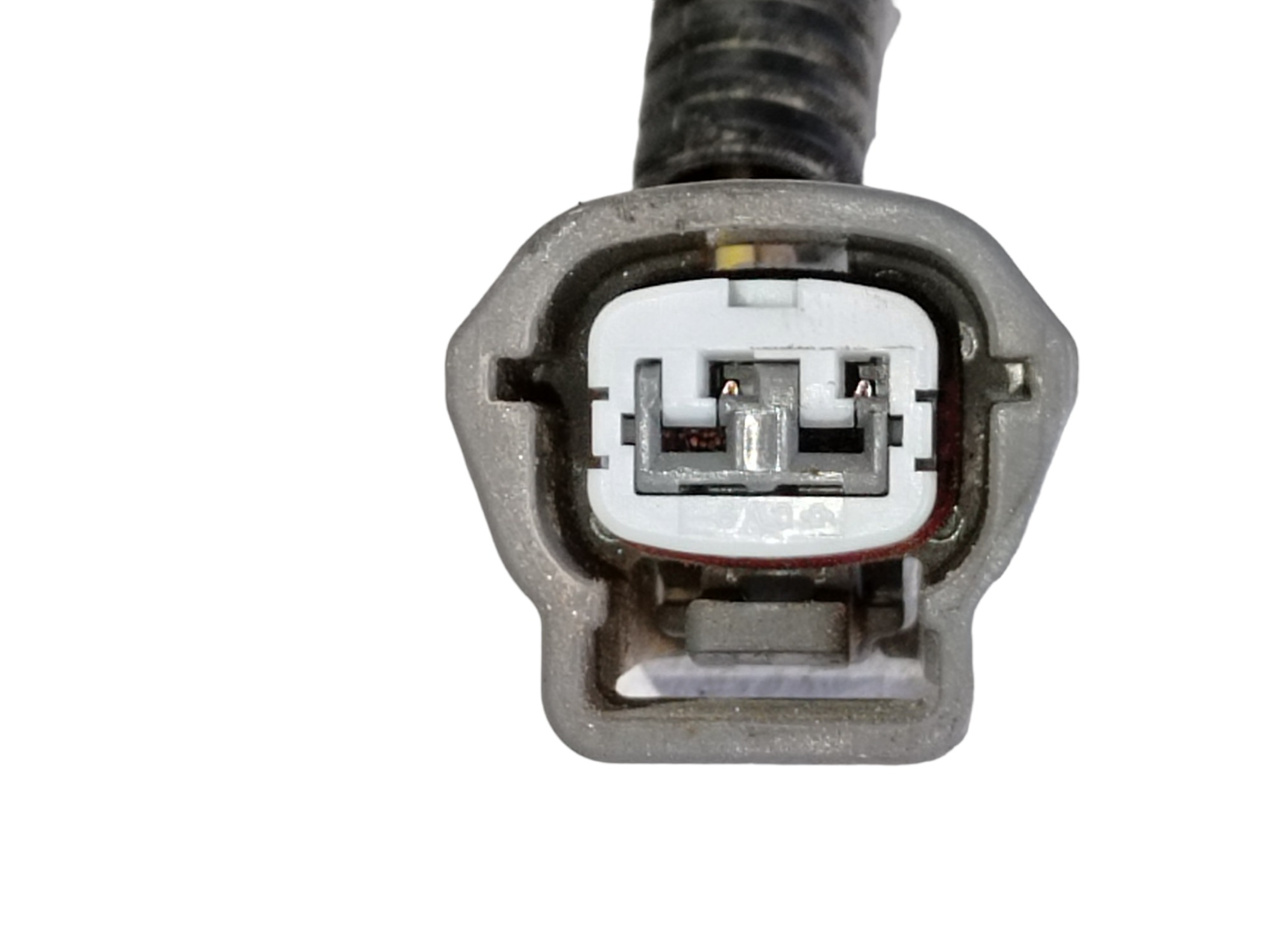 Chicote Motor Nissan Leaf 2022 V589 9
