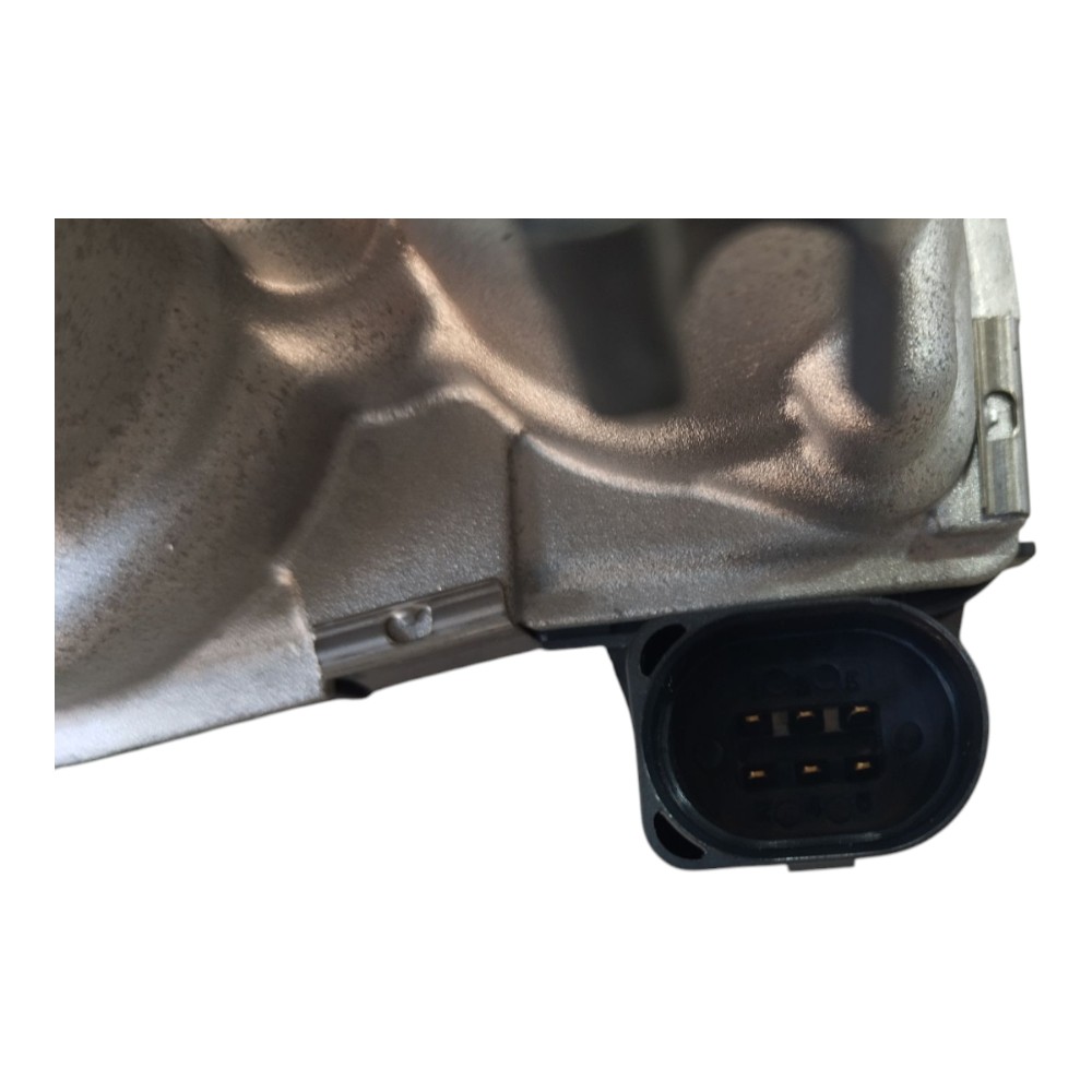 Corpo Borboleta Tbi Byd Song Plus 2023 2024 2025 V642 7