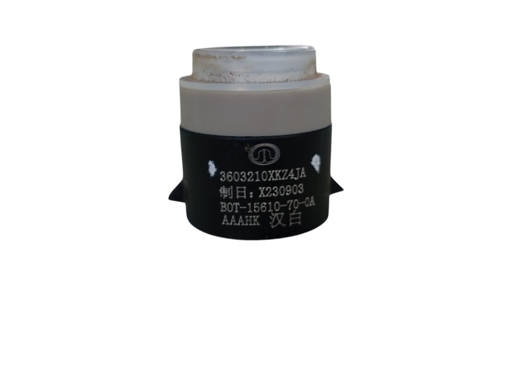 Sensor Estacionamento Traseiro Gwm Ora Gt 03 2024 V625 9