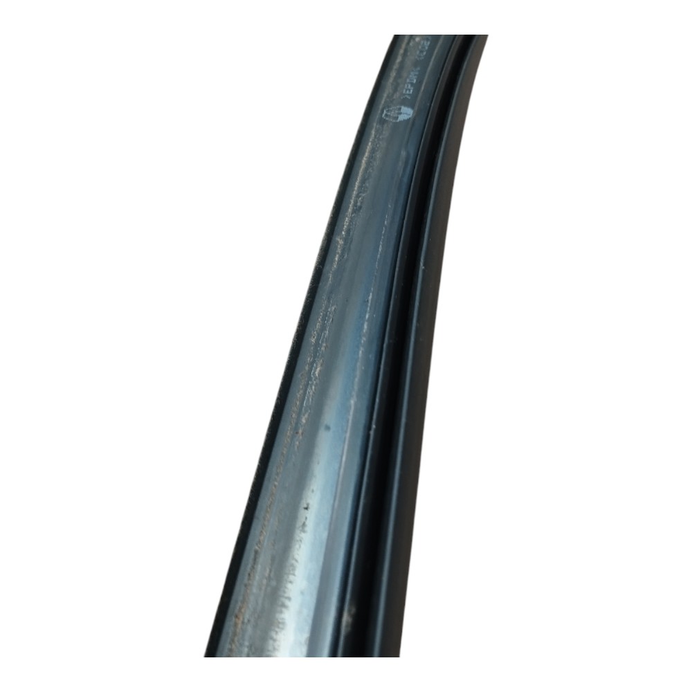 Pingadeira Esquerdo Renault Zoe 2022 2023 V639 4