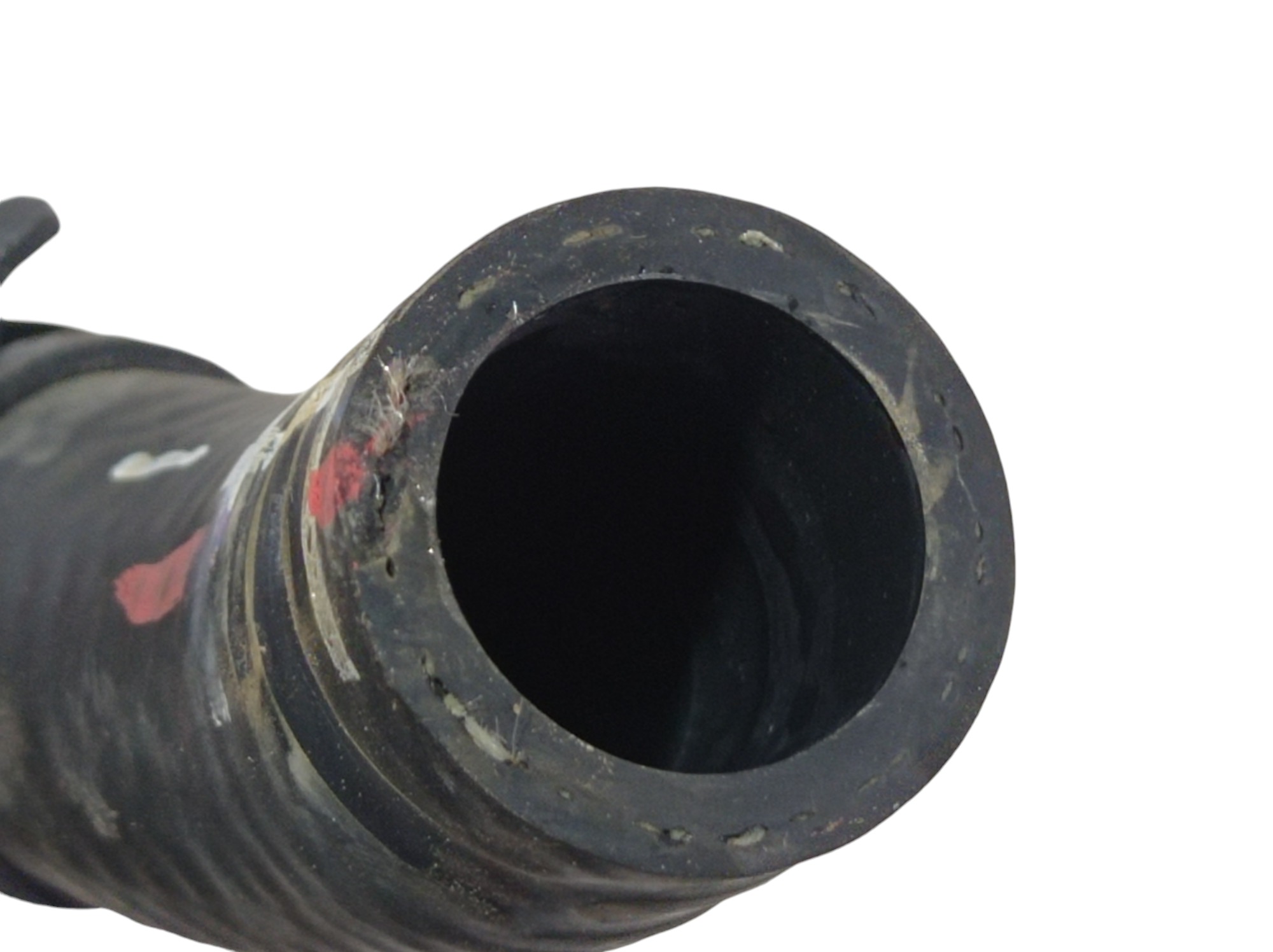 Mangueira Água Byd Dolphin Gs 2024 2025 V596 4