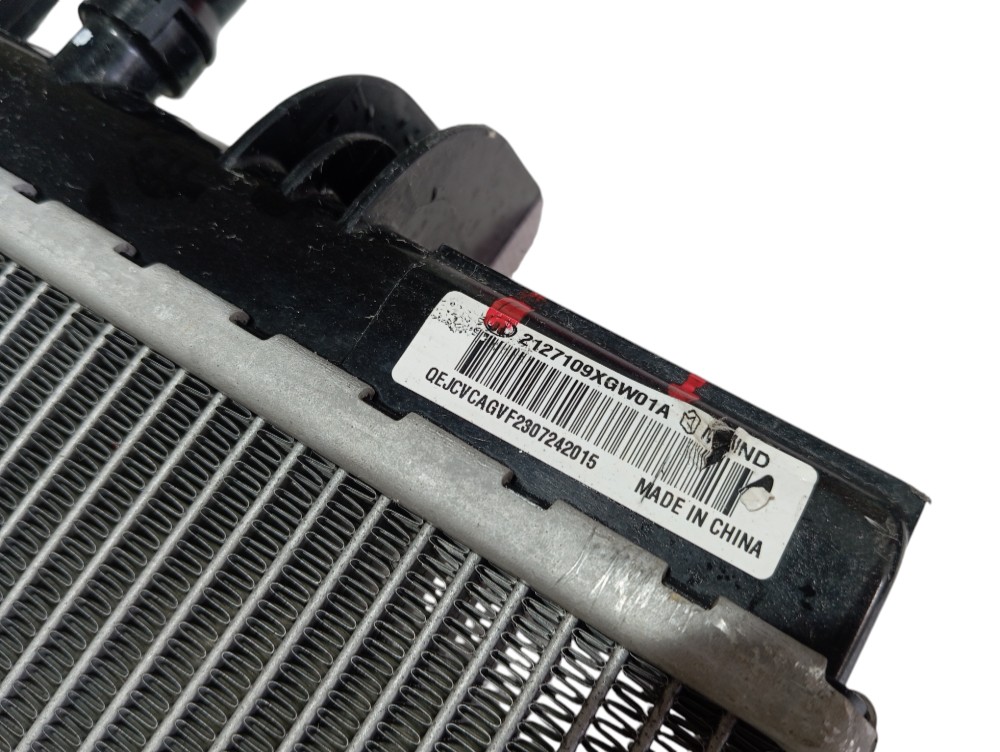 Radiador Gwm Haval H6 Hev 1.5 16v 2024 V610 6